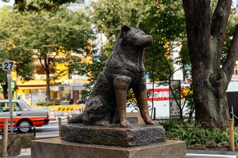 요요기 공원, 도시의 숨겨진 보석